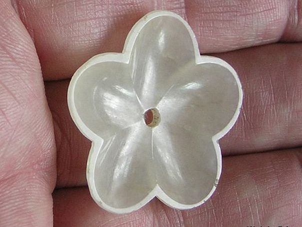 Flower 396 - (4962)